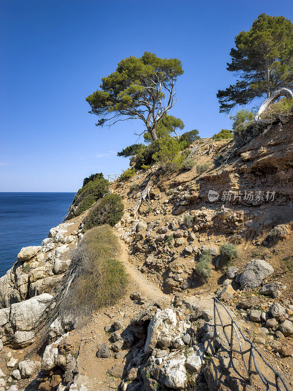 小径(徒步小径)在岩石海岸线附近的Cala Deia之间的Soller和Valldemossa在西北西班牙巴利阿里群岛的马略卡岛/西班牙